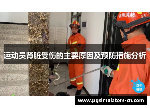 运动员肾脏受伤的主要原因及预防措施分析