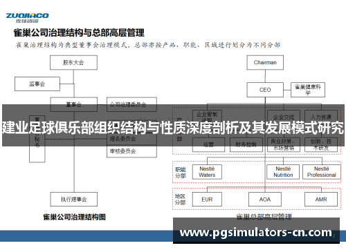 建业足球俱乐部组织结构与性质深度剖析及其发展模式研究