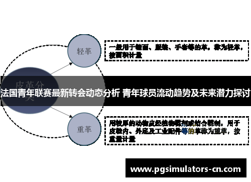 法国青年联赛最新转会动态分析 青年球员流动趋势及未来潜力探讨 法国青年联赛最新转会动态分析 青年球员流动趋势及未来潜力探讨