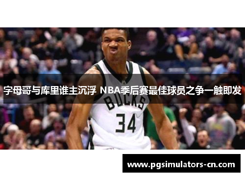 字母哥与库里谁主沉浮 NBA季后赛最佳球员之争一触即发