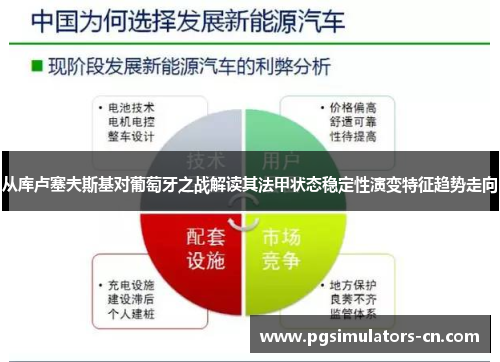 从库卢塞夫斯基对葡萄牙之战解读其法甲状态稳定性演变特征趋势走向