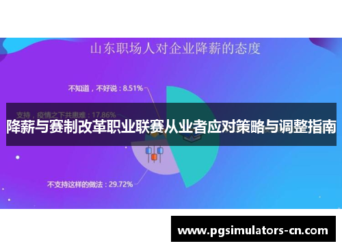 降薪与赛制改革职业联赛从业者应对策略与调整指南