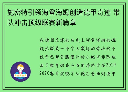 施密特引领海登海姆创造德甲奇迹 带队冲击顶级联赛新篇章